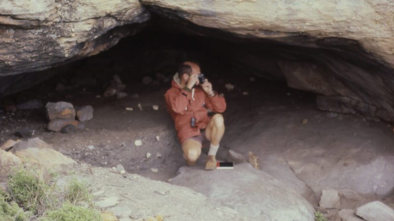 https://archive.wbhm.org/wp-content/uploads/2007/07/Archaeologist-800x450.jpg