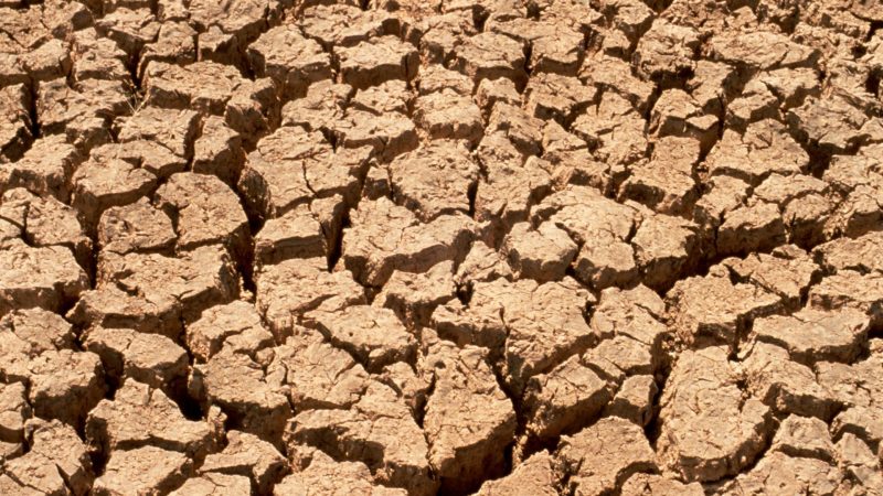 https://archive.wbhm.org/wp-content/uploads/2008/06/drought-800x450.jpg