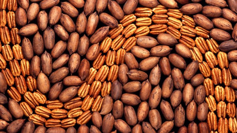 https://archive.wbhm.org/wp-content/uploads/2009/05/Pecans-800x450.jpg