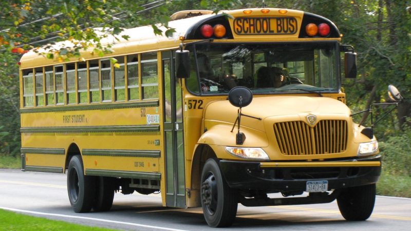 https://archive.wbhm.org/wp-content/uploads/2011/09/schoolbus-800x450.jpg