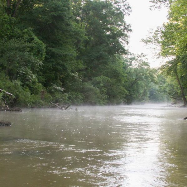 https://archive.wbhm.org/wp-content/uploads/2015/04/cahaba-600x600.jpg