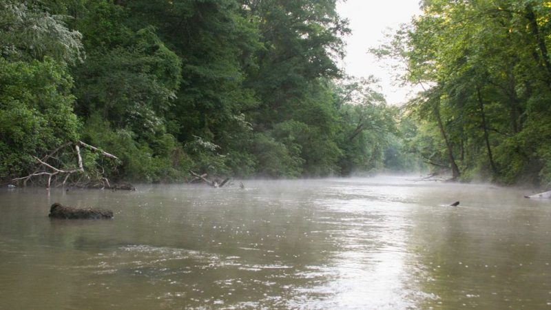 https://archive.wbhm.org/wp-content/uploads/2015/04/cahaba-800x450.jpg