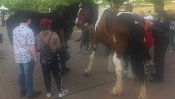 https://archive.wbhm.org/wp-content/uploads/2018/04/Horses1-600x338.jpg