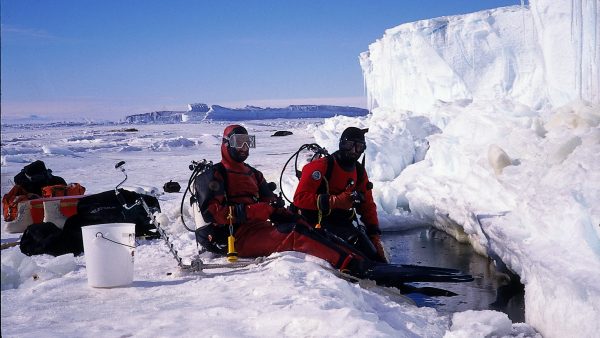 https://archive.wbhm.org/wp-content/uploads/2018/09/antarctic.pictures.superb_031-600x338.jpg