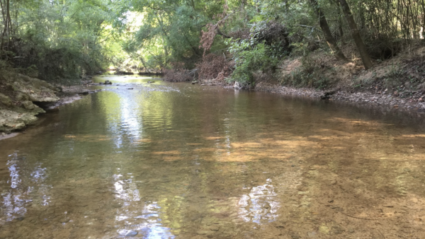 https://archive.wbhm.org/wp-content/uploads/2018/12/River_Water_Fulmore_2018-600x338.png