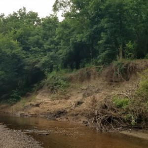 https://archive.wbhm.org/wp-content/uploads/2019/08/Feature1-300x300.jpg