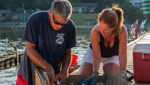 https://archive.wbhm.org/wp-content/uploads/2019/11/Andy-Diane-Depaola-sorting-oysters-1024x575-600x338.jpg