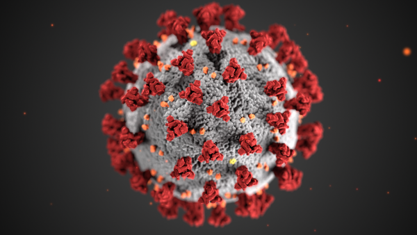 https://archive.wbhm.org/wp-content/uploads/2020/06/Coronavirus_CDC-600x338.png