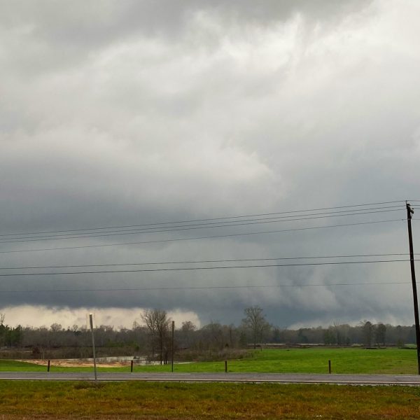 https://archive.wbhm.org/wp-content/uploads/2021/03/Livingston_clouds-600x600.jpeg