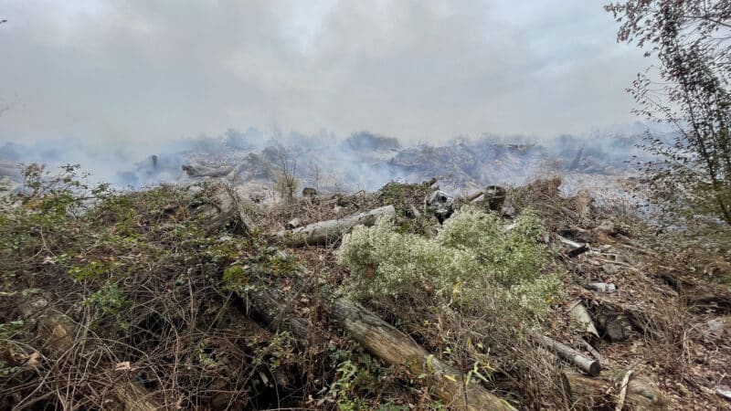 https://archive.wbhm.org/wp-content/uploads/2022/12/Moody_landfill_fire_photo_1-800x450.jpg