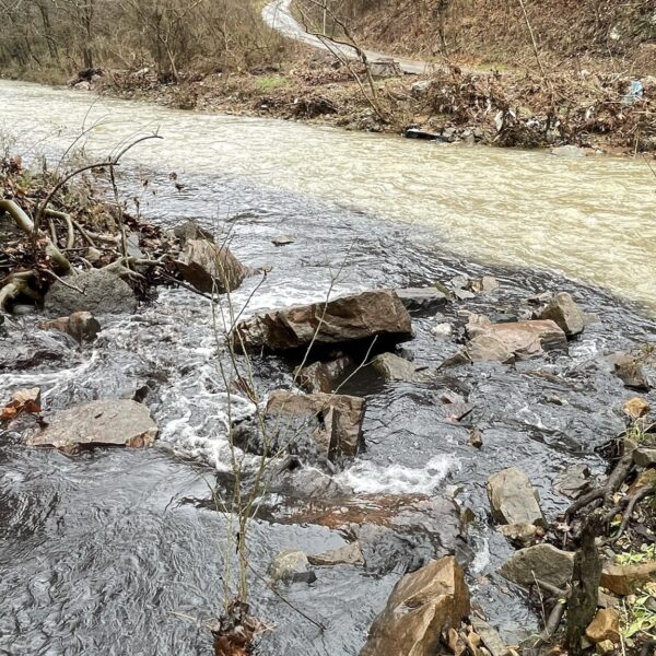 https://archive.wbhm.org/wp-content/uploads/2023/07/BluestoneCoke.WaterPollution.FiveMileCreek_1.17.23-e1689693787413-600x600.jpeg