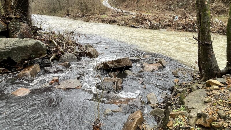 https://archive.wbhm.org/wp-content/uploads/2023/07/BluestoneCoke.WaterPollution.FiveMileCreek_1.17.23-e1689693787413-800x450.jpeg