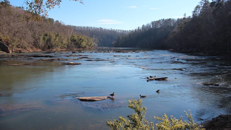 https://archive.wbhm.org/wp-content/uploads/2023/12/Chattahoochee_River_Walton_on_the_Chattahoochee_Cobb_County_GA_Jan_2018_2-e1702479781952-800x450.jpeg