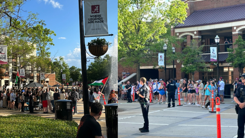 https://archive.wbhm.org/wp-content/uploads/2024/05/UA_Protest_Lead_Photo-800x450.png