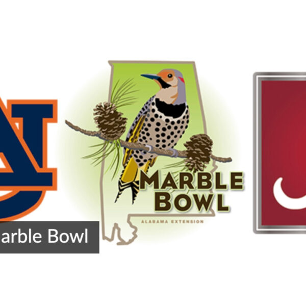 https://archive.wbhm.org/wp-content/uploads/2024/11/Marble_Bowl_Landscape-600x600.jpeg