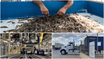 President Donald Trump's tariffs have caused a mixed reaction across industries in the Gulf South, including shrimping, automobile manufacturing and shipping.