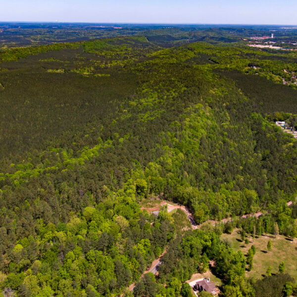 https://archive.wbhm.org/wp-content/uploads/2025/05/bessemer_data_center_ICN-e1747427132365-600x600.jpg