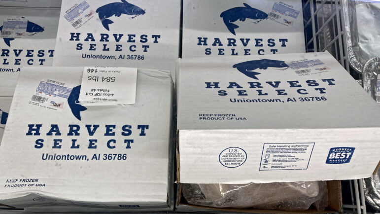 Boxes of catfish fillets sit in a cooler in Wright's Market in Opelika, Alabama, on July 17, 2025.